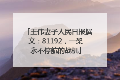 王伟妻子人民日报撰文：81192，一架永不停航的战机
