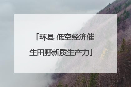 环县 低空经济催生田野新质生产力