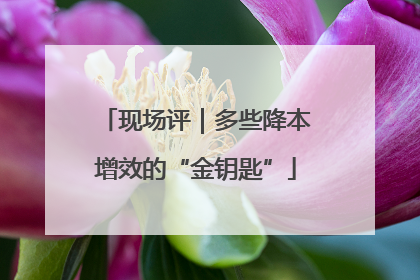 现场评｜多些降本增效的“金钥匙”