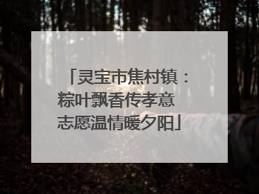 灵宝市焦村镇：粽叶飘香传孝意 志愿温情暖夕阳