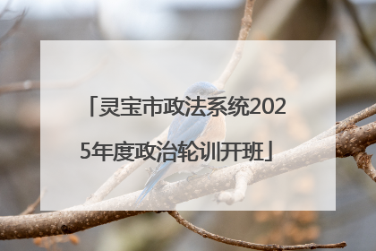 灵宝市政法系统2025年度政治轮训开班