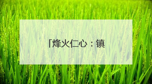 烽火仁心：镇远和平村的人道主义之光