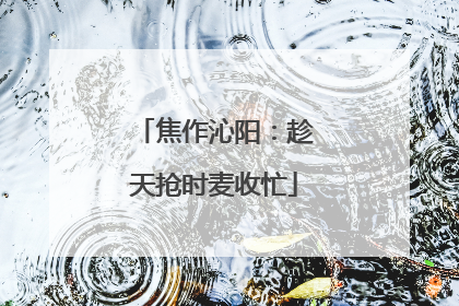 焦作沁阳：趁天抢时麦收忙