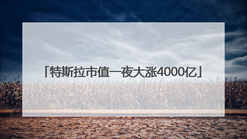 特斯拉市值一夜大涨4000亿