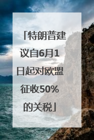 特朗普建议自6月1日起对欧盟征收50%的关税