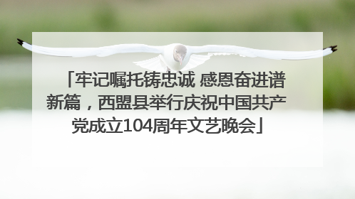 牢记嘱托铸忠诚 感恩奋进谱新篇，西盟县举行庆祝中国共产党成立104周年文艺晚会