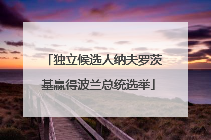 独立候选人纳夫罗茨基赢得波兰总统选举