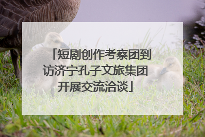 短剧创作考察团到访济宁孔子文旅集团开展交流洽谈