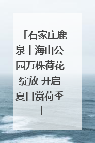 石家庄鹿泉丨海山公园万株荷花绽放 开启夏日赏荷季
