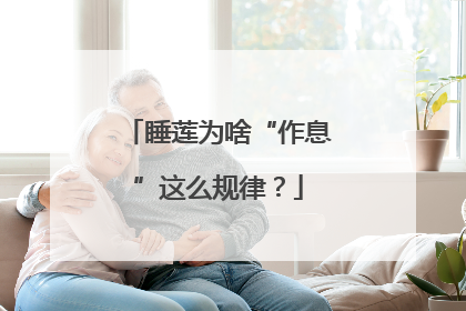 睡莲为啥“作息”这么规律？