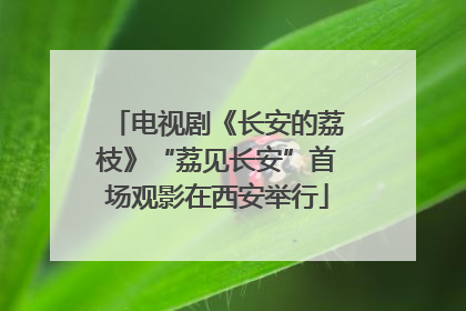电视剧《长安的荔枝》“荔见长安”首场观影在西安举行
