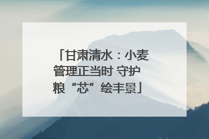 甘肃清水：小麦管理正当时 守护粮“芯”绘丰景