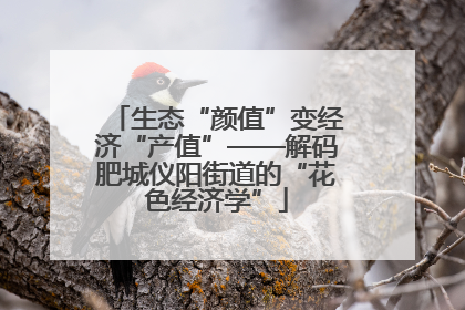 生态“颜值”变经济“产值”——解码肥城仪阳街道的“花色经济学”