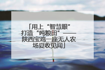 用上“智慧眼” 打造“吨粮田”——陕西宝鸡一座无人农场夏收见闻