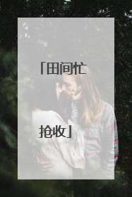 田间忙抢收