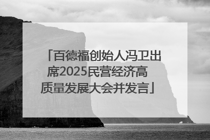 百德福创始人冯卫出席2025民营经济高质量发展大会并发言