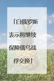白俄罗斯表示将继续保障俄乌战俘交换