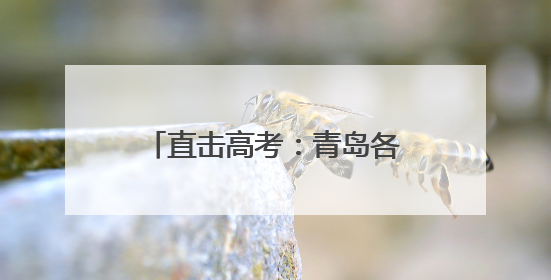 直击高考：青岛各大考点送考氛围拉满 老师家长齐上阵