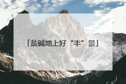 盐碱地上好“丰”景