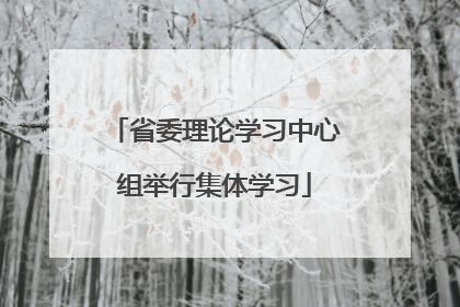 省委理论学习中心组举行集体学习