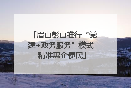 眉山彭山推行“党建+政务服务”模式 精准惠企便民