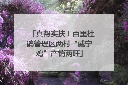 真帮实扶！百里杜鹃管理区两村“威宁鸡”产销两旺