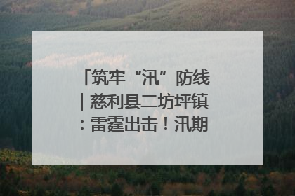 筑牢“汛”防线｜慈利县二坊坪镇：雷霆出击！汛期捕鱼被紧急叫停