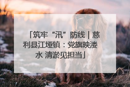 筑牢“汛”防线｜慈利县江垭镇：党旗映溇水 清淤见担当