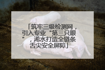 筑牢三级检测网，引入专业“第三只眼”，浠水打造全链条舌尖安全屏障