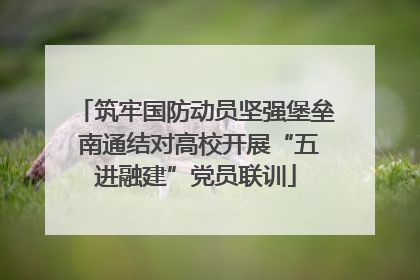 筑牢国防动员坚强堡垒 南通结对高校开展“五进融建”党员联训