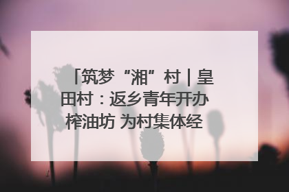 筑梦“湘”村｜皇田村：返乡青年开办榨油坊 为村集体经济“加油”