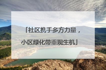 社区携手多方力量，小区绿化带重现生机