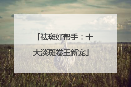 祛斑好帮手：十大淡斑卷王新宠
