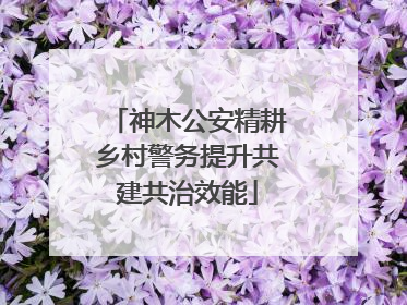 神木公安精耕乡村警务提升共建共治效能