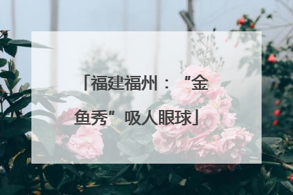 福建福州：“金鱼秀”吸人眼球