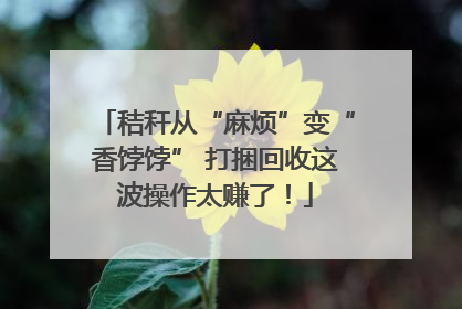 秸秆从“麻烦”变“香饽饽” 打捆回收这波操作太赚了！