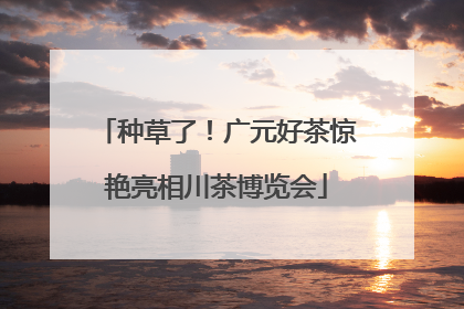 种草了！广元好茶惊艳亮相川茶博览会