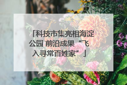 科技市集亮相海淀公园 前沿成果“飞入寻常百姓家”