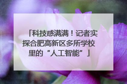 科技感满满！记者实探合肥高新区多所学校里的“人工智能”