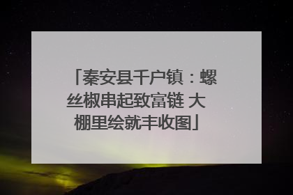 秦安县千户镇：螺丝椒串起致富链 大棚里绘就丰收图