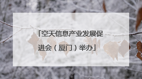 空天信息产业发展促进会（厦门）举办