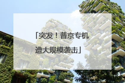 突发！普京专机遭大规模袭击