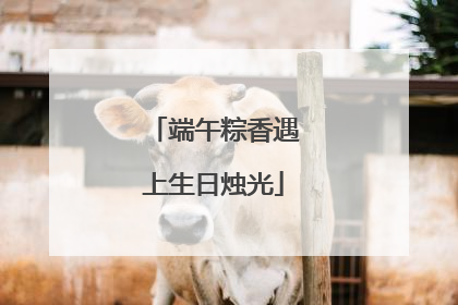 端午粽香遇上生日烛光