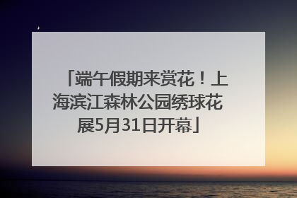 端午假期来赏花！上海滨江森林公园绣球花展5月31日开幕