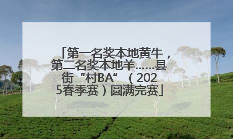 第一名奖本地黄牛，第二名奖本地羊……县街“村BA”（2025春季赛）圆满完赛
