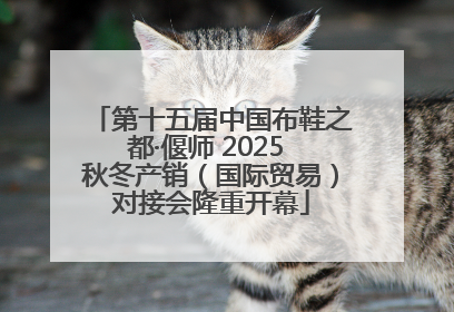 第十五届中国布鞋之都·偃师 2025 秋冬产销（国际贸易）对接会隆重开幕