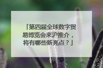 第四届全球数字贸易博览会来沪推介，将有哪些新亮点？