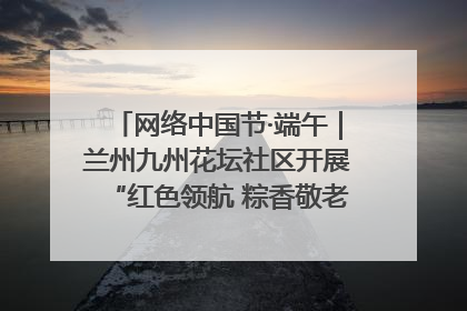网络中国节·端午｜兰州九州花坛社区开展“红色领航 粽香敬老”端午主题活动