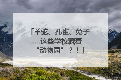 羊驼、孔雀、兔子……这些学校藏着 “动物园”？！