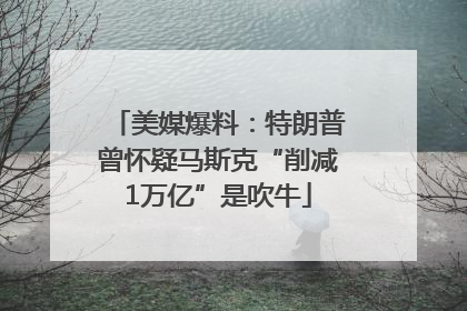 美媒爆料：特朗普曾怀疑马斯克“削减1万亿”是吹牛